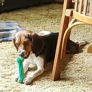 Meet your Posher, Jo